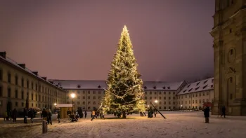 Feierliche Vernissage Weihnachtsbaum auf dem Klosterplatz