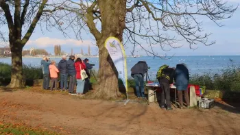 Naturbeobachtungen am Bodensee