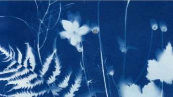 Cyanoypie Einführungskurs