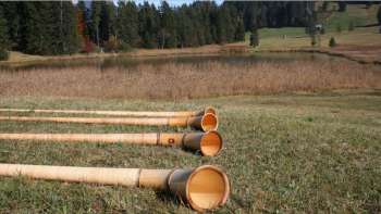 Alphorn spielen