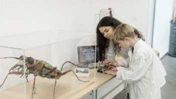 Jugendlabor «Bionik: Was kann der Mensch von der Natur lerne