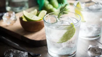 Degustationsfahrt zum Thema Gin Degustationsfahrt zum Thema Gin