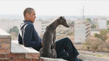 Black Dog
