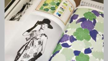 Sammlerstücke im Fokus