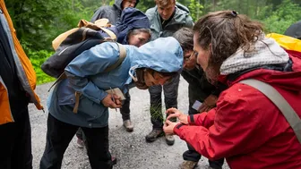 Exkursion essbare Wild- und Heilpflanzen im Frühling