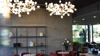 SelinS Lounge