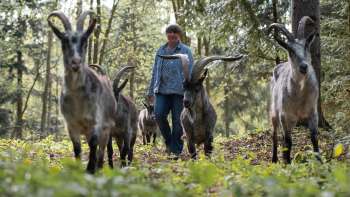 GEISSGADA - Eventi dedicati alle capre con il cuore