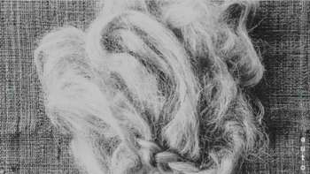 Linda Stauffer & Margaux Huber