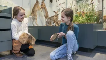 Jugendlabor «Spuren im Tierreich: Fährten, Frass und Federn»