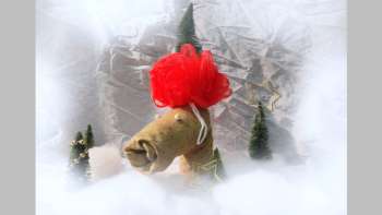 Mandarinli, Tannezwiig und andere Adventsgestalten