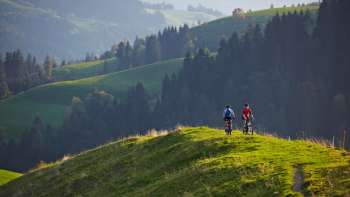 Location de VTT électriques