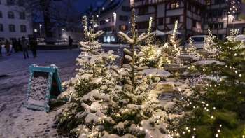 Mercatino di Natale di San Gallo