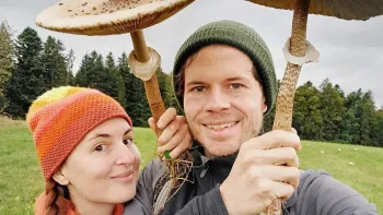 Explora präsentiert: Pilze & Kräuter