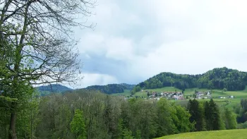 Klimaanpassung und Biodiversität im Wald