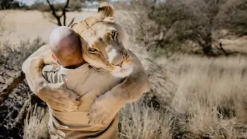 Löwenland - Leben mit Sirga in Botswana - Explora Live Show