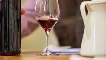 PIWIs – Saft mit Kraft: Robuste Rebsorten