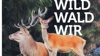 Sonderausstellung «Wild. Wald. Wir.»