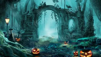 Halloween Night Party