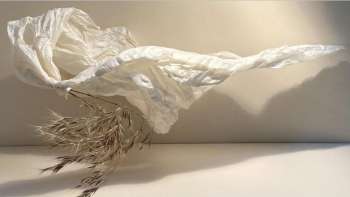 Ruth Zwiener: Jubiläumsausstellung «40 Jahre Kunstschaffen»