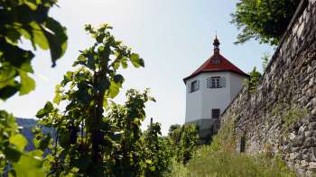 tobias wein.gut