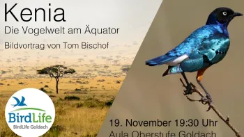 Kenia - Die Vogelwelt am Äquator