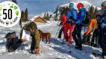 Leben in der Winterruhe