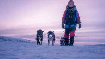 Explora: Grönland - Ruf der Stille