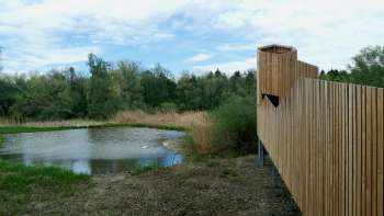 Torre di osservazione della natura Weitsicht sul Vecchio Reno Torre di osservazione della natura Weitsicht sul Vecchio Reno