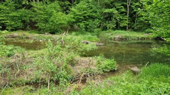 Wanderung Galgentobel