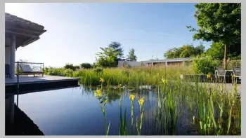 Schwimmteichpflege – weniger ist mehr