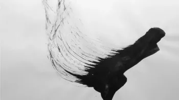 Vernissage - Sven Bösiger