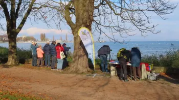 Naturbeobachtungen am Bodensee
