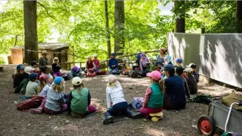 Schnuppermorgen im Wald