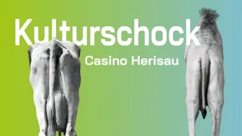 Turnshow STV Herisau - Abendvorstellung