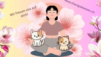 KittenYoga