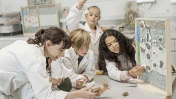 Jugendlabor «Fossiliendetektive»