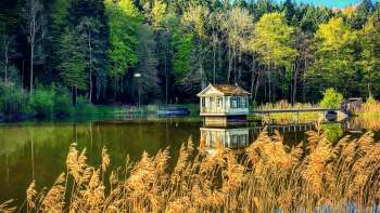 Wenigerweiher