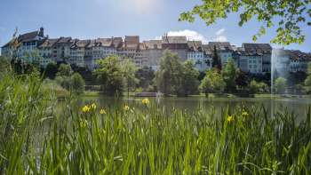 Stadtweier Wil