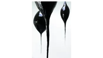 Öffentliche Führung - Sara Masüger Öffentliche Führung - Sara Masüger