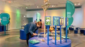 Ingresso famiglia alla mostra speciale «Insetti striscianti – incredibilmente affascinanti"