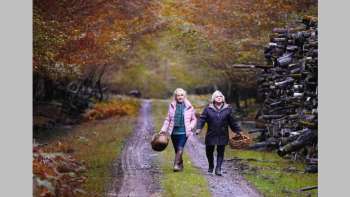 Quand vient l'automne