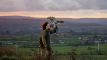 H is for Hawk