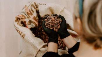 Degustieren von St. Galler Schokolade