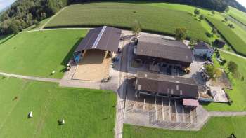 Piazzola Liechti Scuderie