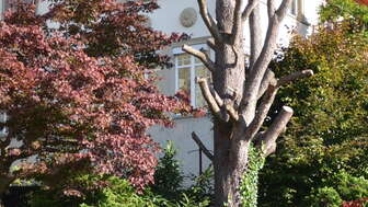 Ferienwohnung Jaquet in St.Gallen