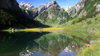 Seealpsee Hike!