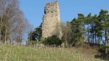 Château de Grimmenstein