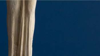 2a - Unterveranstaltung zu Ausstellung