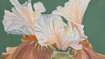 Joy Schmidt Art  'Raumnahme'