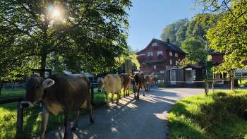 Bauernhof Notkersegg